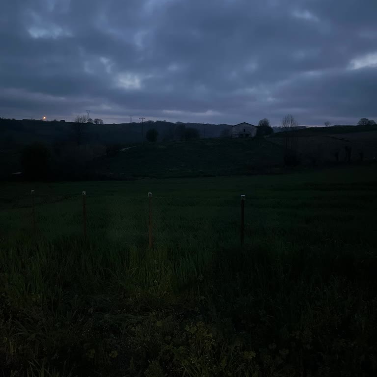 Gaziler Mahallesi Sokak Aydınlatması Eksikliği Trafik Güvenliğini Tehdit Ediyor