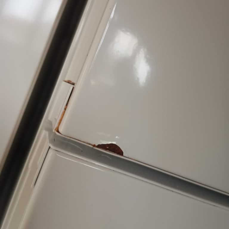 Bosch Buzdolabı Kapak Çürümesi Tekrarlandı, 11.000 TL Ücretine Karşı Ücretsiz Değişim Talebi