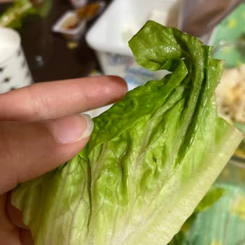 Çiğköfte Üzerindeki Böcekler Ve Hijyen Endişesi