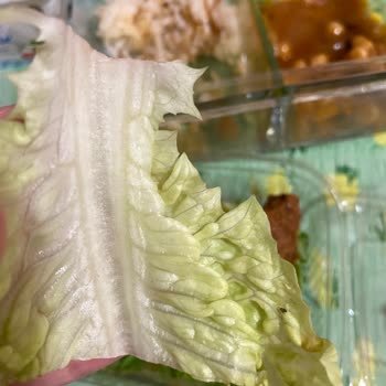 Çiğköfte Üzerindeki Böcekler Ve Hijyen Endişesi