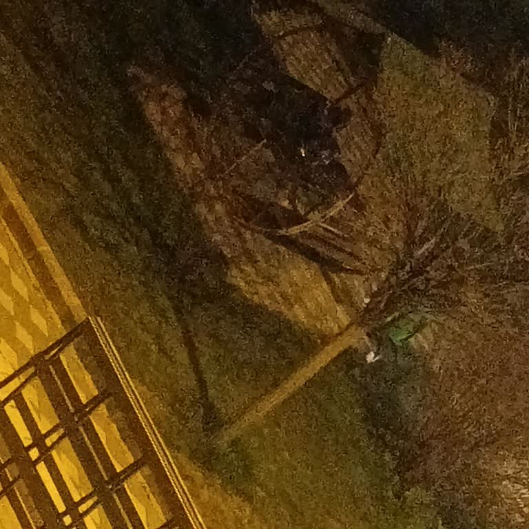 Çiğdem Parkı Çardaklarında Uygunsuz Davranışlar Ve Güvenlik Talebi