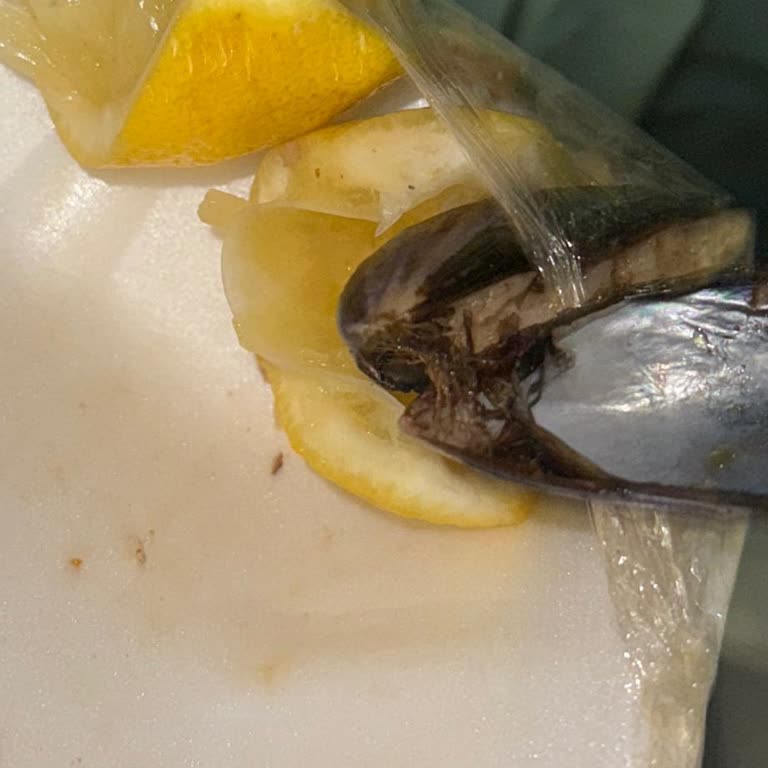 Midye Ürününde Böcek Benzeri Yabancı Madde, Yetersiz İade Teklifi