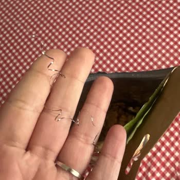 Kavrulmuş İç Ceviz Paketi İçinde Gri Yabancı Madde Bulundu, Yanıt Alınamadı