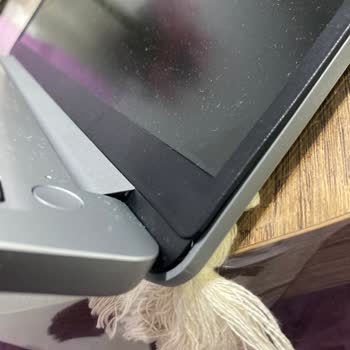 Lenovo Ideapad 1 Menteşe Kırılması Ve Ücretsiz Onarım Talebi