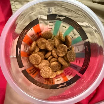 Sahte Hill’s Köpek Maması Satışı Ve Köpekte Kusma Ve Kaşıntı Şikayetleri