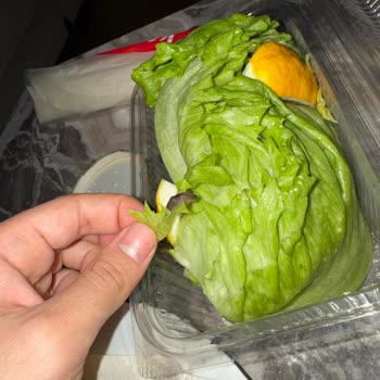 Komagene Marulda Kurt Görülmesi Hijyen İhlali ve Tam İade Talebi