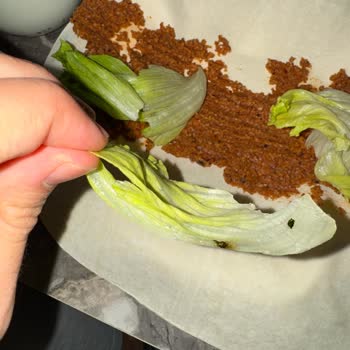 Komagene Marulda Kurt Görülmesi Hijyen İhlali ve Tam İade Talebi