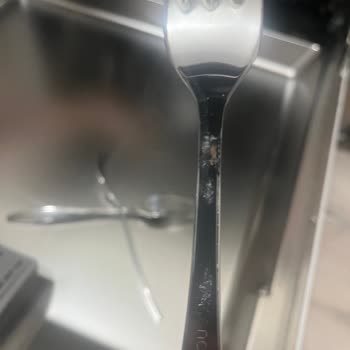 Siemens Bulaşık Makinesinde Paslanma Sorunu, Servisin Yetersiz Çözümü Ve Değişim Talebi