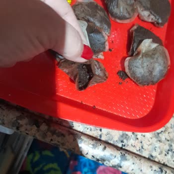 Lipton Çay Poşetlerinin Dağılması Ve Sağlık Tehdidi