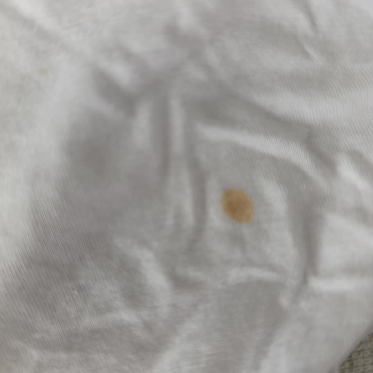 Siemens IQ500 Çamaşır Makinesinde Yağ Lekesi Sorunu Ve Servis Reddi