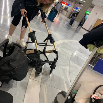 Pegasus’tan Bebek Arabası Hasarı İçin Ödeme Gecikmesi Ve Tazminat Talebi