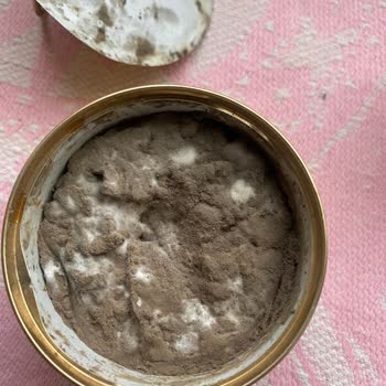 Purina В Консеве корма Для Кота Гурме Плесень с действительным сроком годности