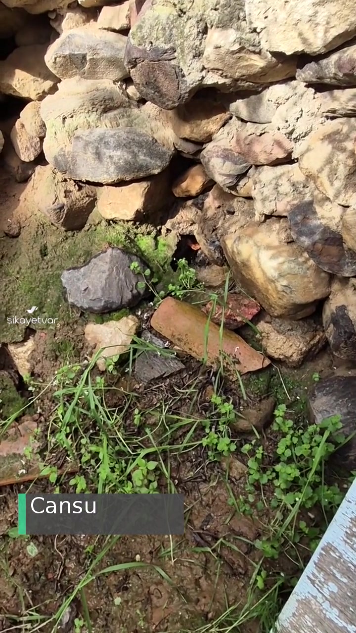 Manisa Belediye Suyu Bahçeme Patladı Evin Temeline Gidiyor! videonun kapak resmi