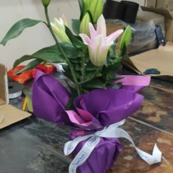 Sipariş Edilen Çiçek Görseliyle Uyuşmuyor, Teslimat Saati Gecikti