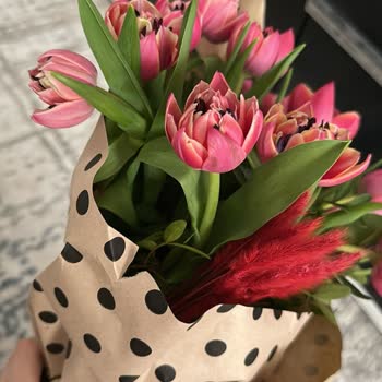 Yanıltıcı Görsel, Çürük Lale Buketi Ve Kırılan Güven