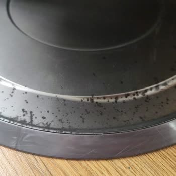 Dyson Hava Temizleyicisinde Küflenme Garanti Kapsamına Alınmadı