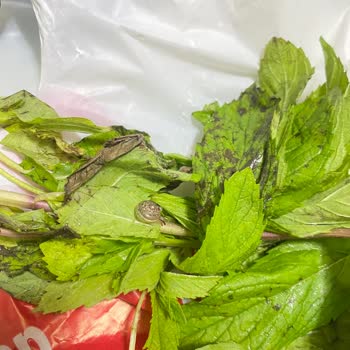 Komagene Çelebi Şubesinde Çiğköfte Siparişinde Böcek Ve Kurtçuk Tespiti