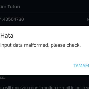 USDT Transferi ERC20 Ağı Üzerinde Sistem Hatası Nedeniyle Gerçekleşemiyor