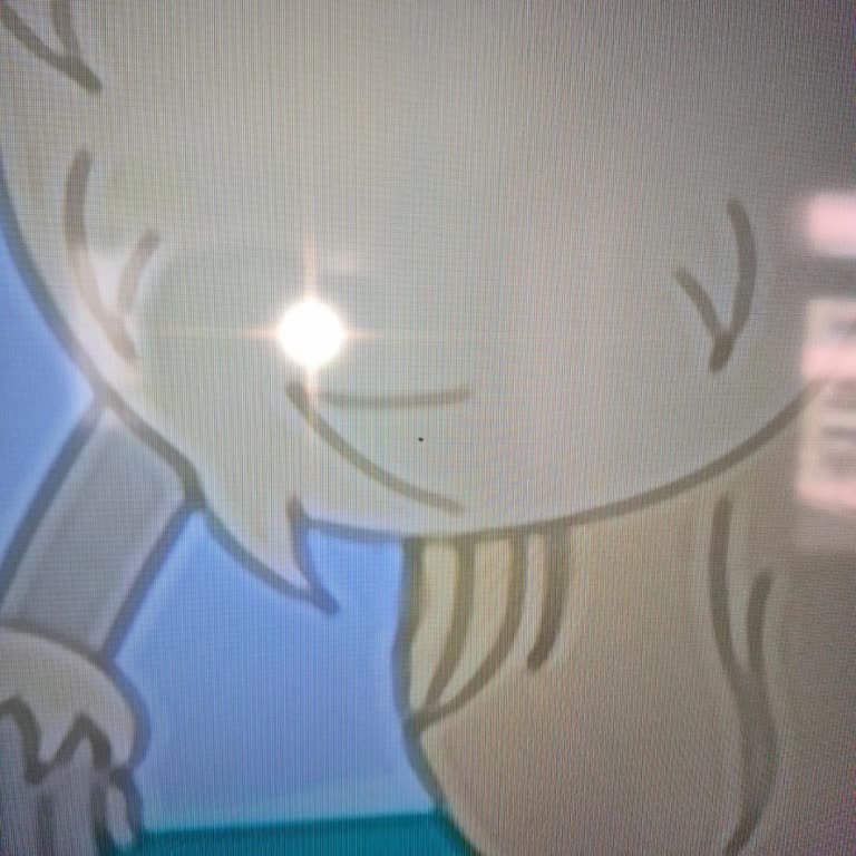 Ekranda Hızlı Siyah Leke, Servisin Kullanıcı Hatası Söylemi