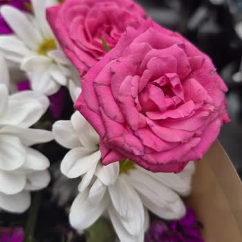 Çiçek Sepeti'nden Solmuş Buket Ve İade Şartlarındaki Haksızlık