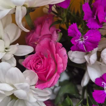 Çiçek Sepeti'nden Solmuş Buket Ve İade Şartlarındaki Haksızlık