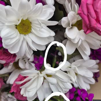 Çiçek Sepeti'nden Solmuş Buket Ve İade Şartlarındaki Haksızlık