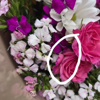 Çiçek Sepeti'nden Solmuş Buket Ve İade Şartlarındaki Haksızlık