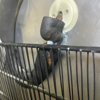 Altus Derin Dondurucuda Kondenser Delinmesi Ve Tasarım Hatası: Yüksek Onarım Ücreti