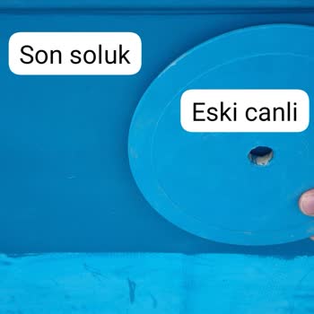 Dema Marin Kimya Havuz Boyası Kuruma Ve Renk Farkı: Yanıltıcı Görseller Ve Cevapsız Şikayet