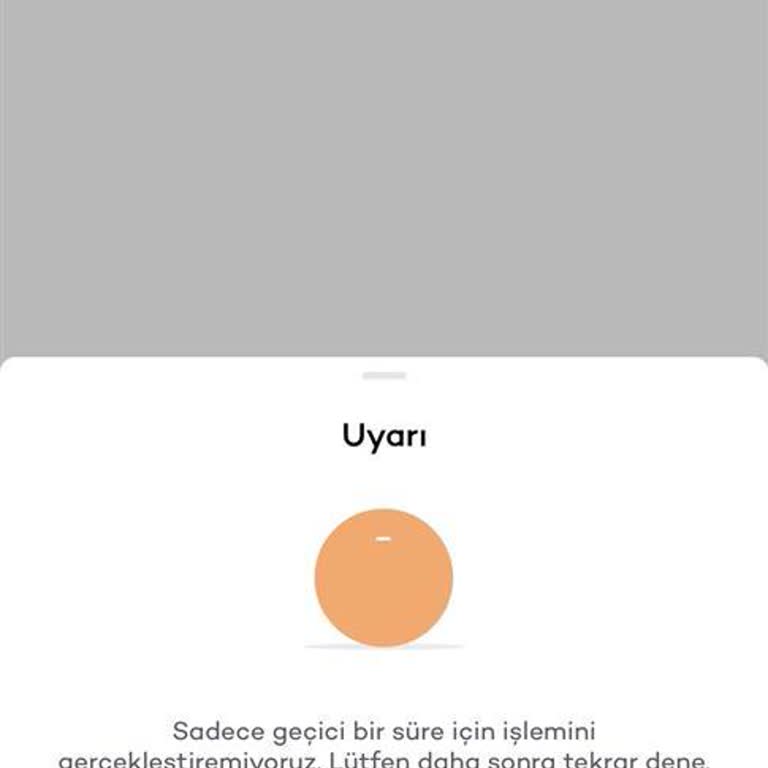 Akbank Mobil Uygulamasında Giriş Sorunu Ve İşlem Engeli