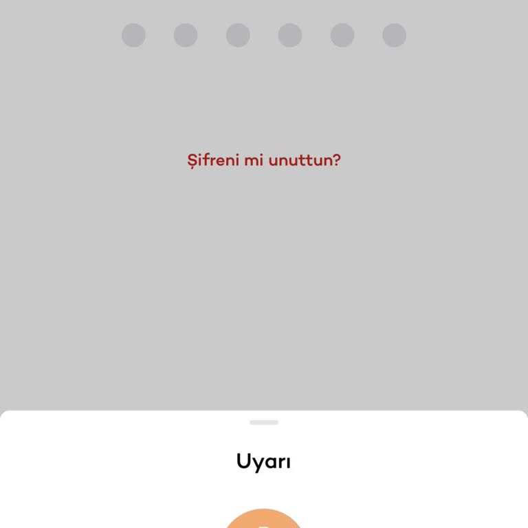 Akbank Mobil Uygulama Girişinde Sürekli Hata Ve Erişim Sorunu