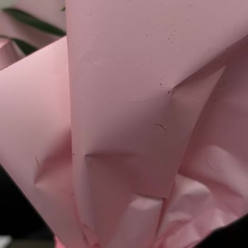 Hijyenik Olmayan Çiçek Teslimatı Ve Şok Edici Ambalaj Sorunu