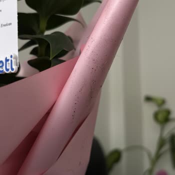 Hijyenik Olmayan Çiçek Teslimatı Ve Şok Edici Ambalaj Sorunu