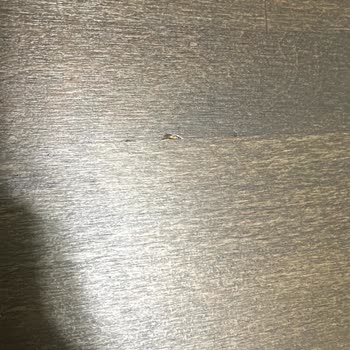 Vivense’dan Çizik Zigon Sehpa Ve Cevapsız Müşteri Hizmeti