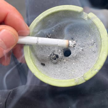 Morris Parliament Night Blue’da Çöp Çıkması Ve Uç Düşmesi Sorunu