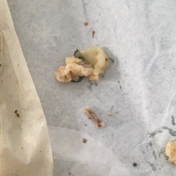 Subway Tavuk Teriyaki İçinde Kemik Bulunması Ve Ürün Kalitesi Şikayeti