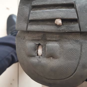 Provoq Shoes Ayakkabı Deformesi