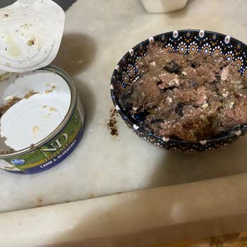 Farmina N&D Kedi Yaş Mamasında Tanımlanamayan Cisimler Ve Geri Ödeme Talebi