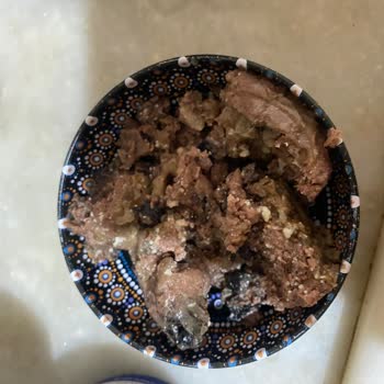 Farmina N&D Kedi Yaş Mamasında Tanımlanamayan Cisimler Ve Geri Ödeme Talebi