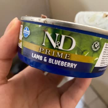 Farmina N&D Kedi Yaş Mamasında Tanımlanamayan Cisimler Ve Geri Ödeme Talebi