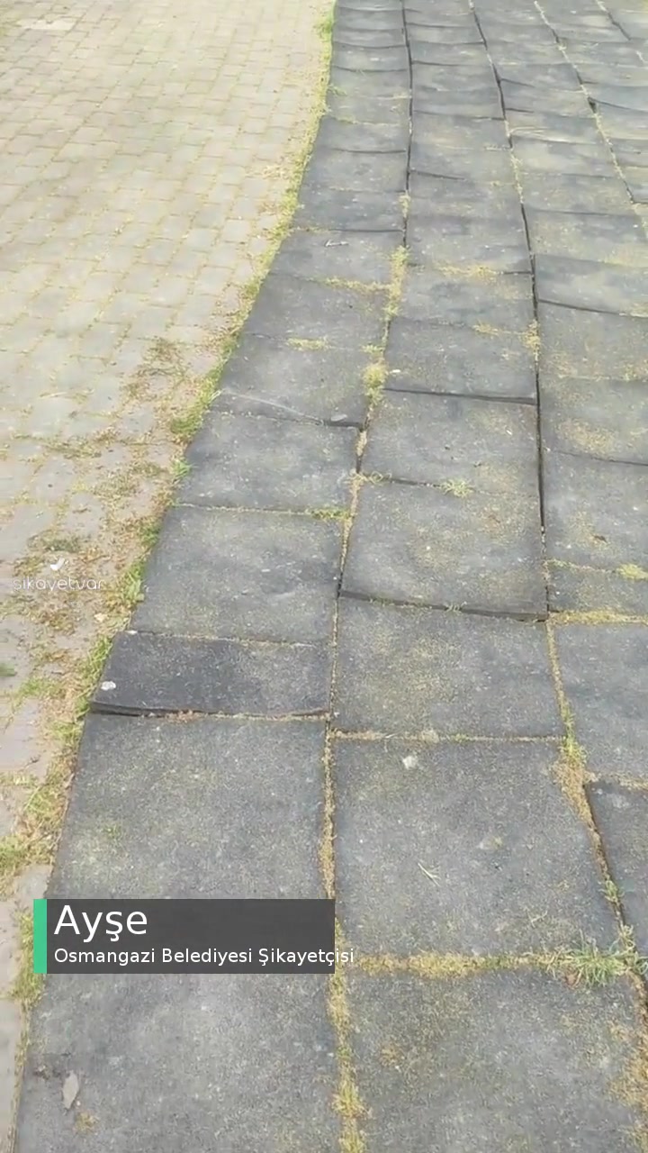 Osmangazi Belediyesi Park Yolu Bozuk videonun kapak resmi