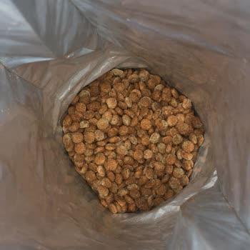 Mutamin Köpek Mamasının Küflenmesi Ve İade Talebi