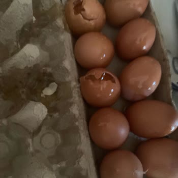 Migros Sanal Market'te Kırık Yumurtalar Ve İade Sorunu