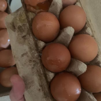 Migros Sanal Market'te Kırık Yumurtalar Ve İade Sorunu