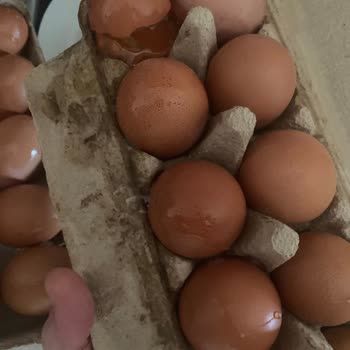 Migros Sanal Market'te Kırık Yumurtalar Ve İade Sorunu