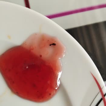 Karınca Bulunan Çilek Reçeline Hijyen Ve Kalite Kontrolü Şikayetim