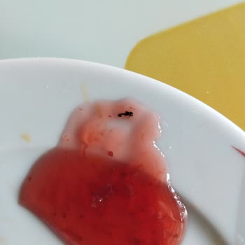 Karınca Bulunan Çilek Reçeline Hijyen Ve Kalite Kontrolü Şikayetim