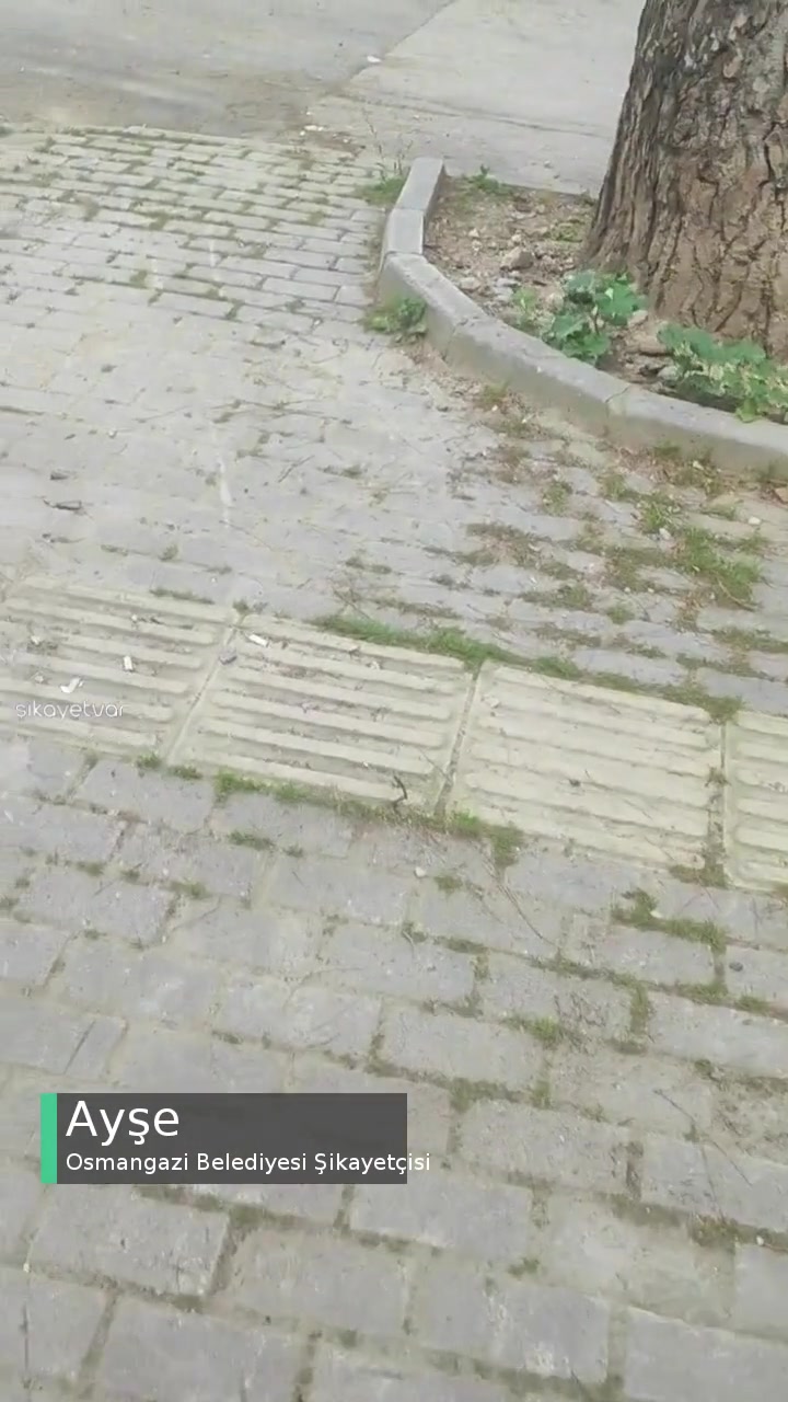 Osmangazi Belediyesi Kaldırım Düzgün Yapılmadı! videonun kapak resmi