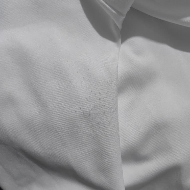 Kısa Sürede Tiftiklenen Eşofmana Ücret İadesi Ve Mağaza Tutumu Şikayeti