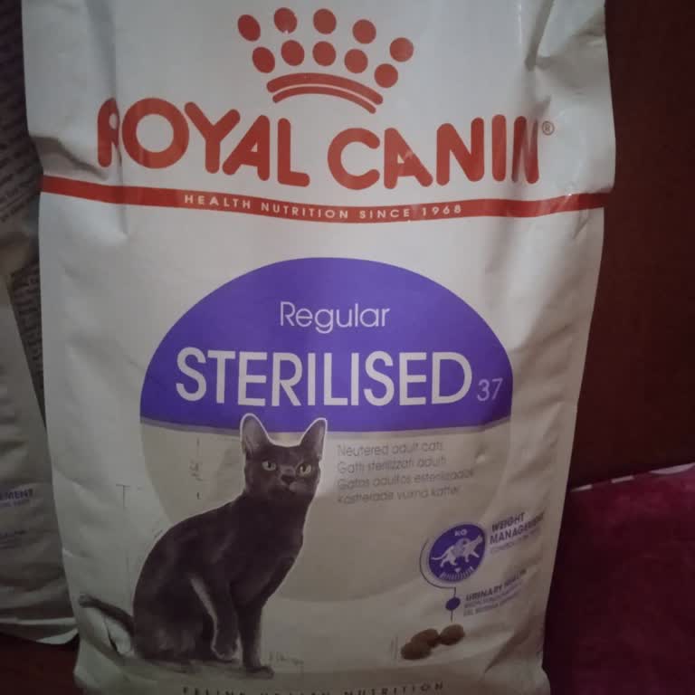 Şüpheli Kedi Maması, Fatura Eksikliği Ve İade Talebi